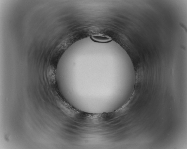 X0000100980186200807081252