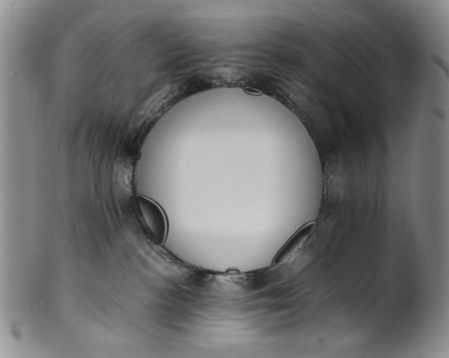 X0000100980188200807081252