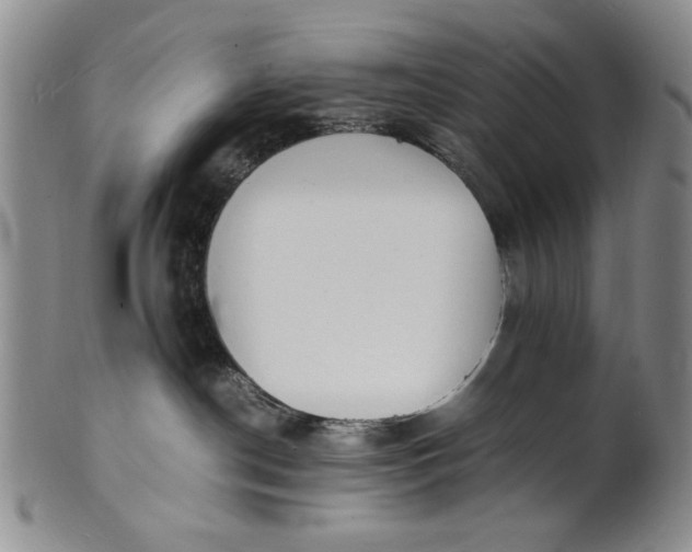 X0000100980190200807081252