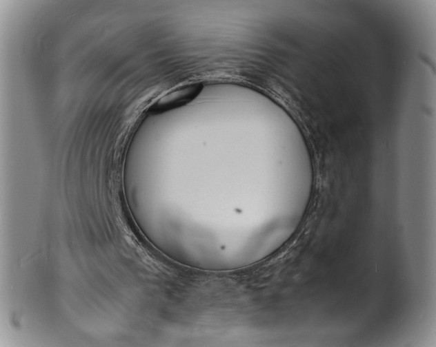 X0000100980193200807081252