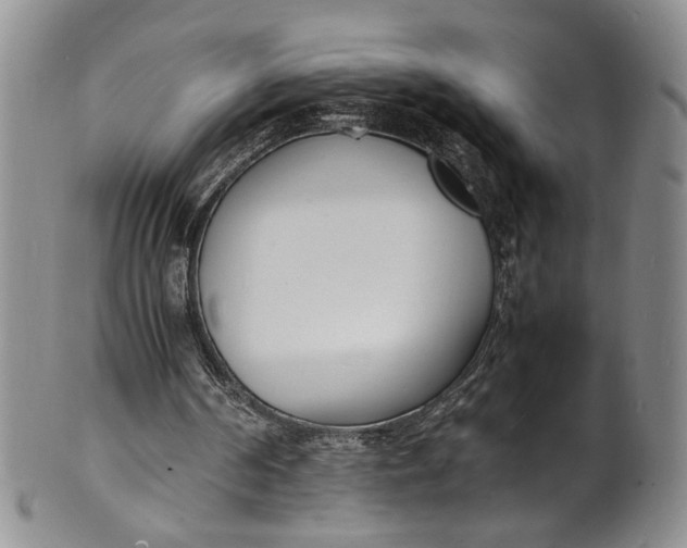 X0000100980194200807081252