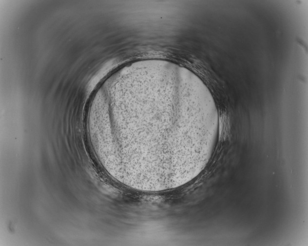 X0000100980195200807081252