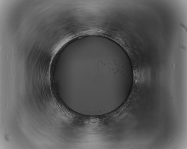 X0000100980196200807081252