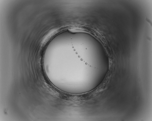 X0000100980197200807081252