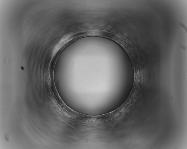 X0000100980198200807081252