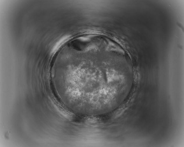 X0000100980199200807081252