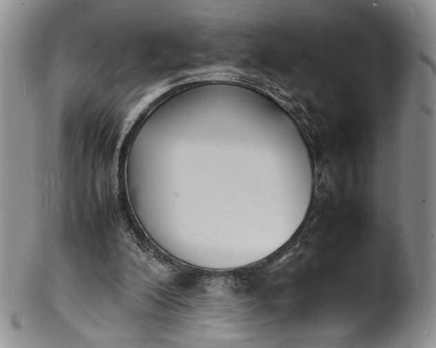 X0000100980200200807081252