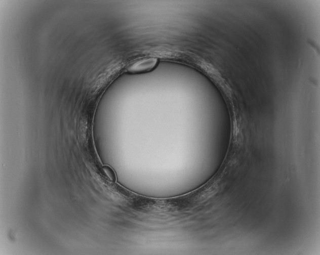 X0000100980201200807081252