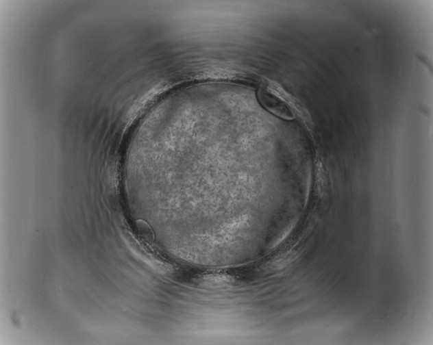 X0000100980203200807081252