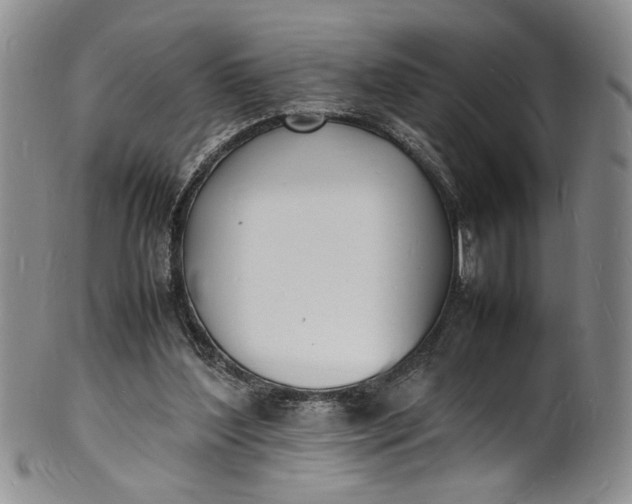 X0000100980204200807081252