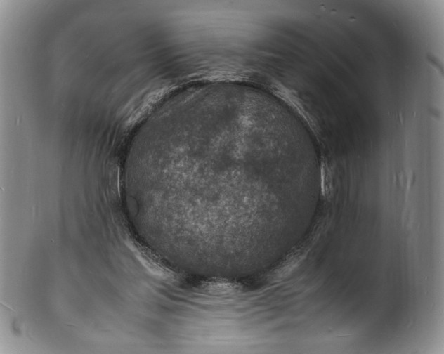 X0000100980205200807081252