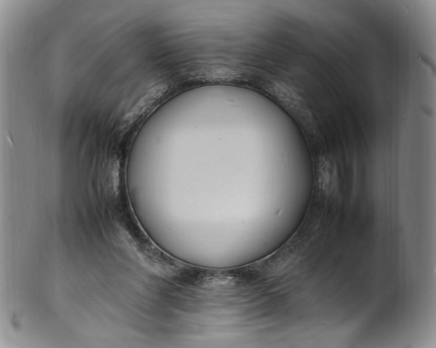 X0000100980206200807081251