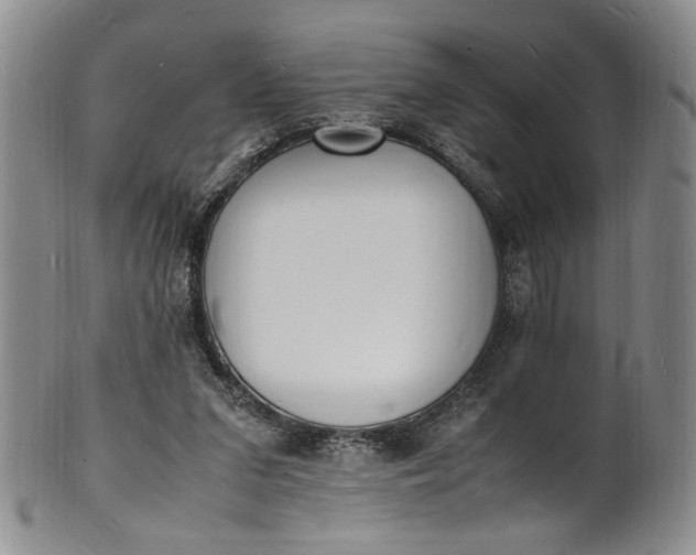 X0000100980207200807081251