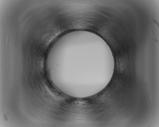 X0000100980208200807081251