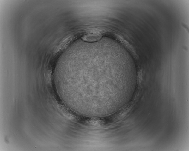 X0000100980209200807081251