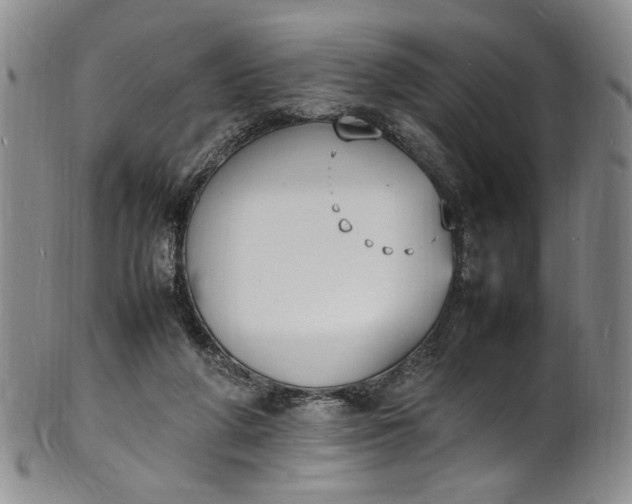 X0000100980210200807081251