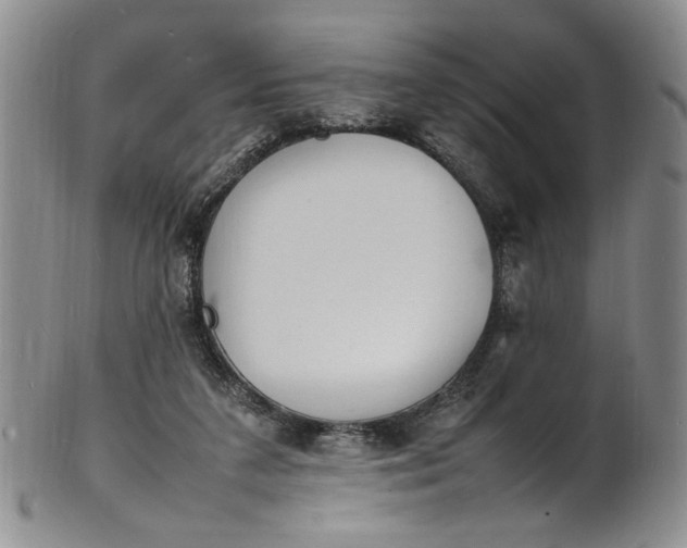 X0000100980211200807081251