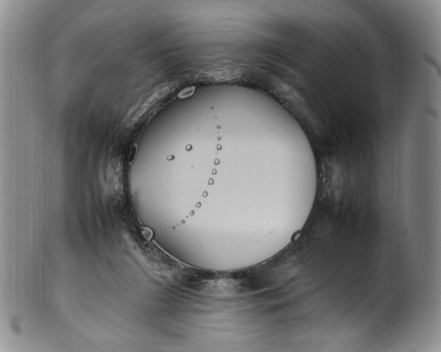 X0000100980212200807081251