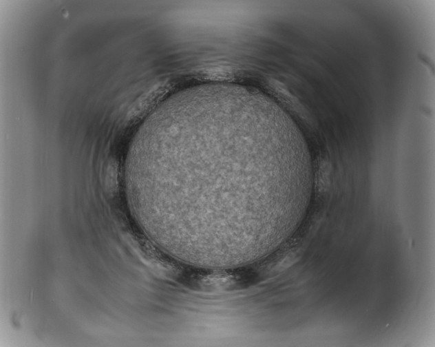 X0000100980213200807081251