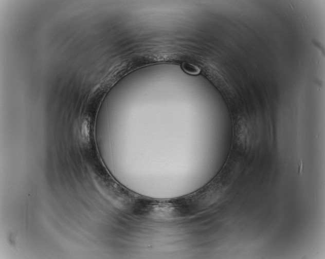 X0000100980214200807081251