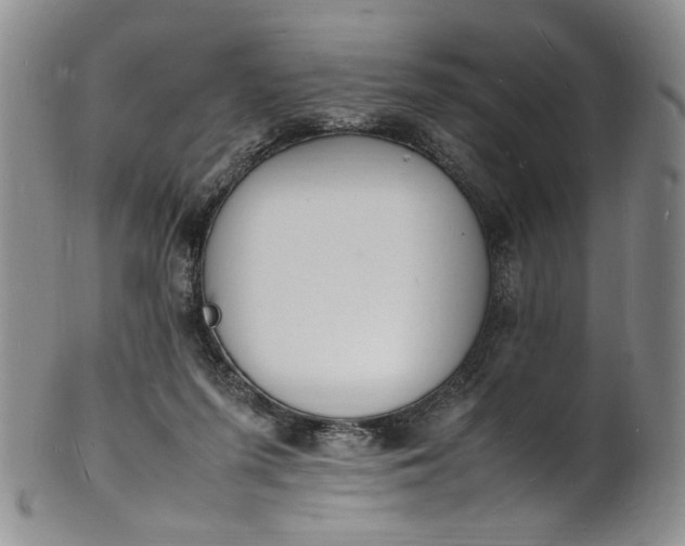 X0000100980215200807081251