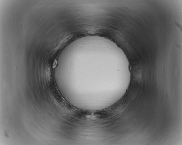 X0000100980216200807081251