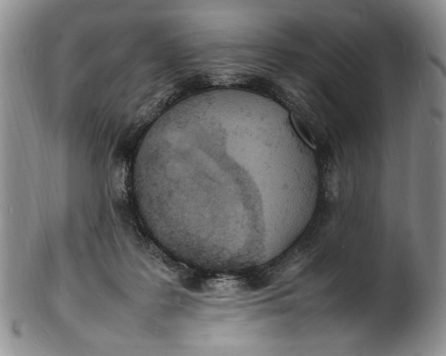 X0000100980219200807081251