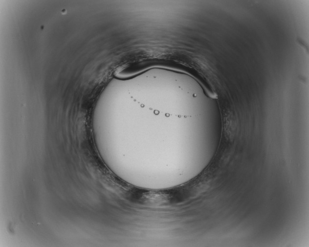 X0000100980221200807081251