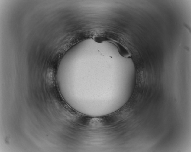 X0000100980222200807081251