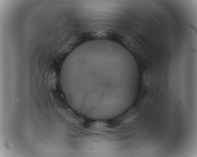 X0000100980223200807081251