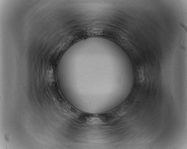 X0000100980224200807081251