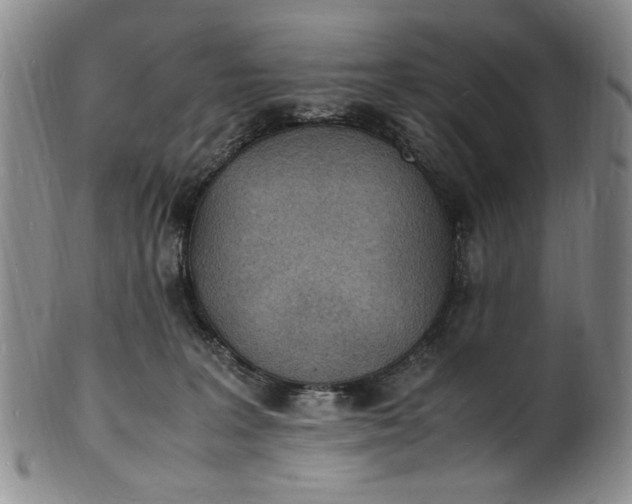 X0000100980227200807081251