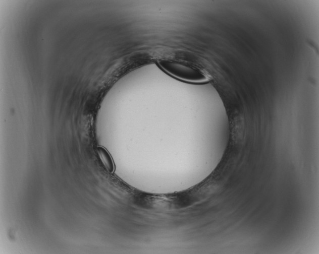 X0000100980229200807081251