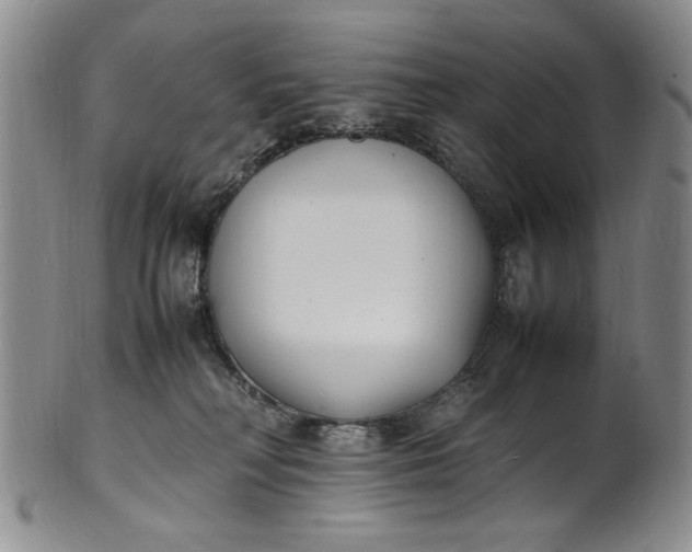 X0000100980230200807081251