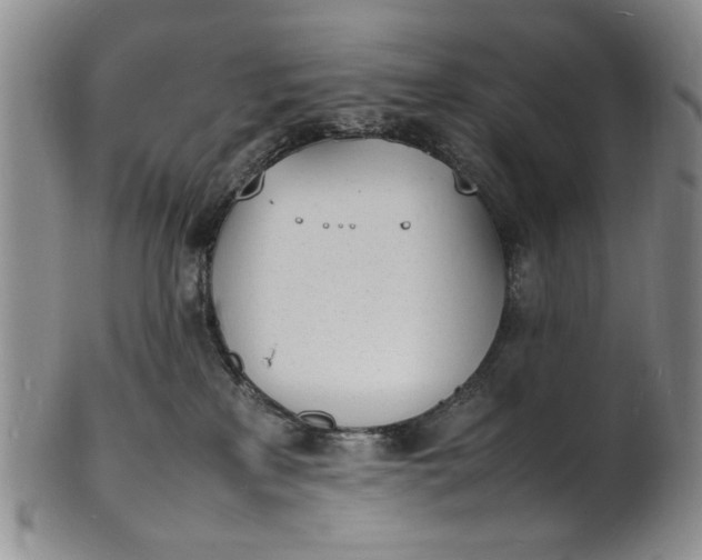 X0000100980233200807081251