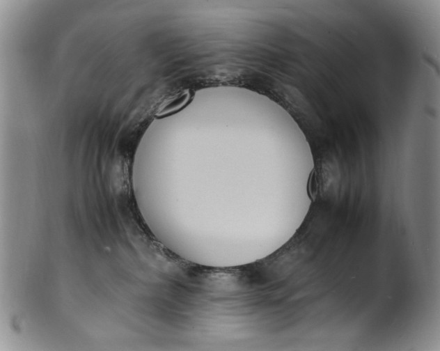 X0000100980236200807081251