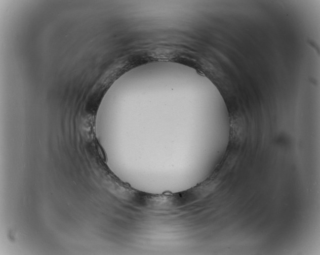 X0000100980237200807081251