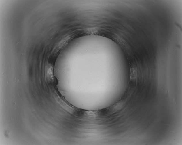 X0000100980238200807081251