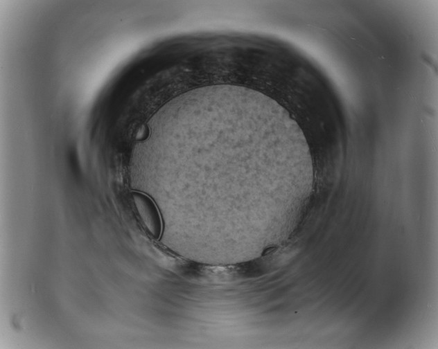 X0000100980239200807081251