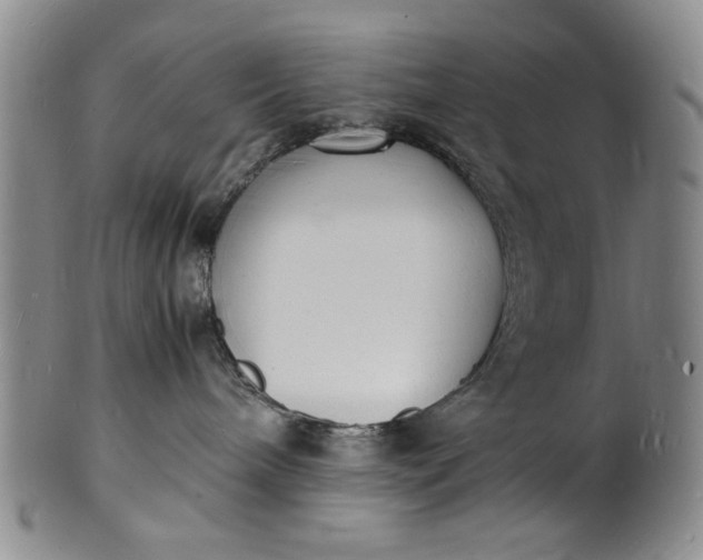 X0000100980240200807081251