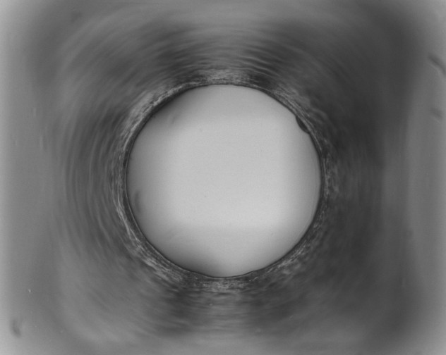 X0000100980241200807081250