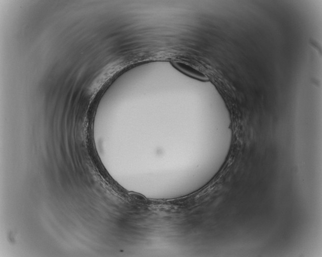 X0000100980242200807081250