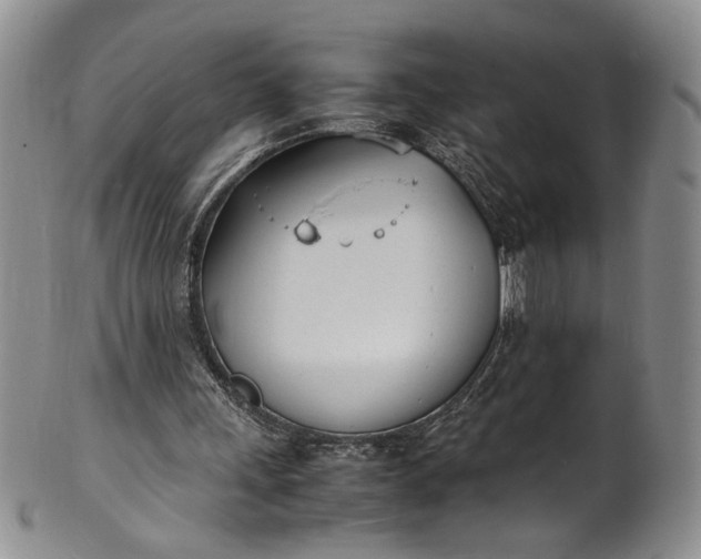 X0000100980243200807081250