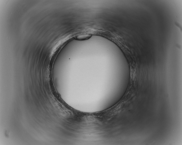 X0000100980244200807081250