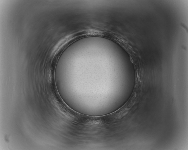 X0000100980247200807081250