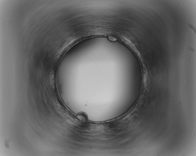 X0000100980249200807081250