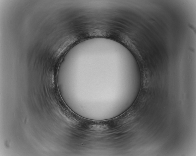 X0000100980251200807081250