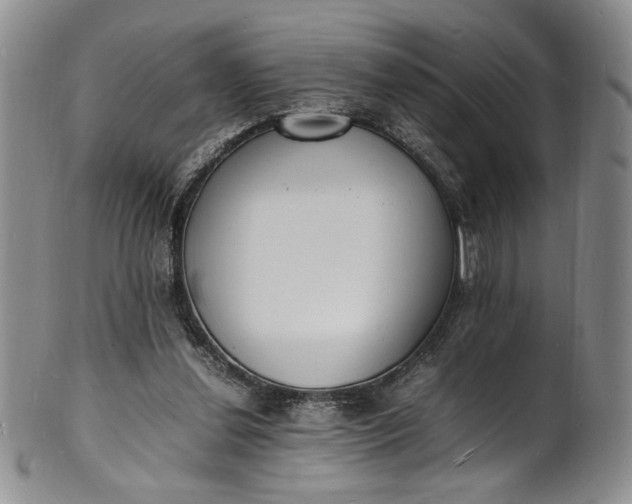 X0000100980252200807081250