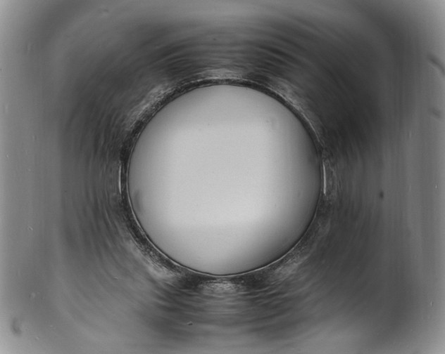 X0000100980253200807081250