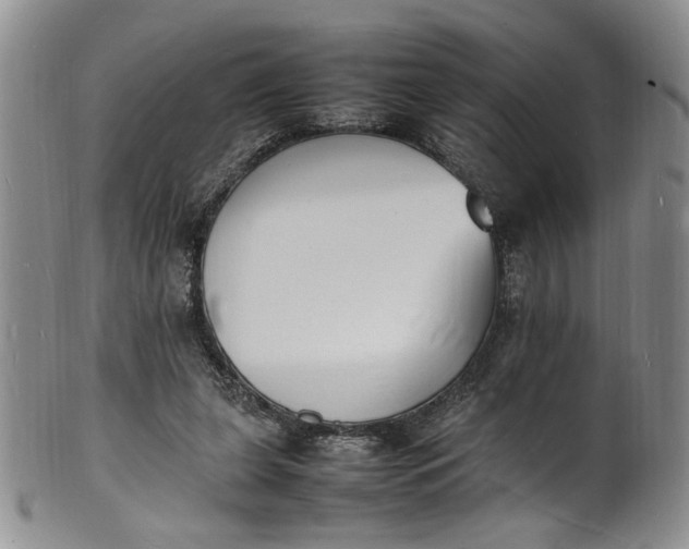 X0000100980255200807081250